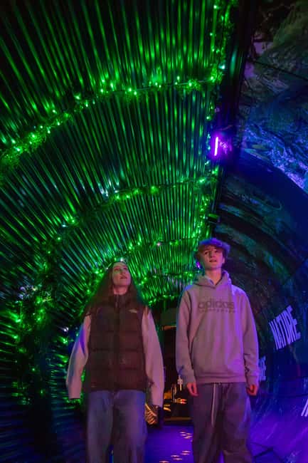 Queenstown: Whimsical Sensory Night Walk at LUMA Enchanted - Whimsical creatures with a New Zealand accent