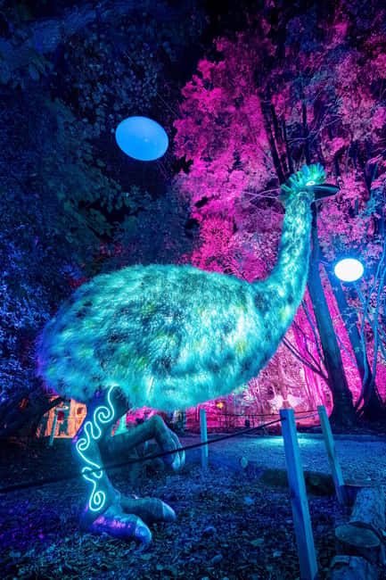 Queenstown: Whimsical Sensory Night Walk at LUMA Enchanted - Enchanted Treats and a warm pause
