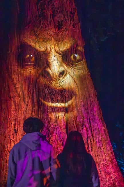 Queenstown: Whimsical Sensory Night Walk at LUMA Enchanted - Is $35 good value in Queenstown?