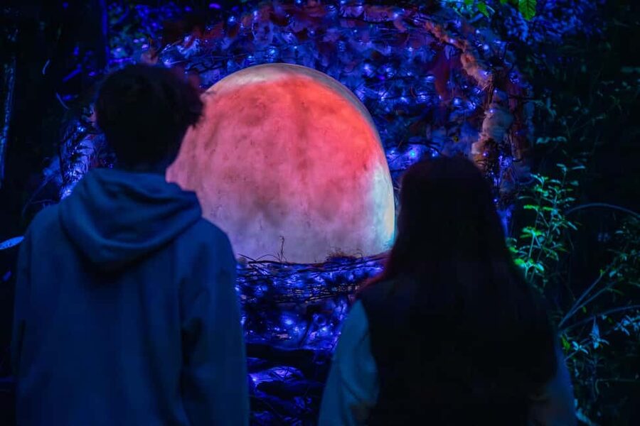 Queenstown: Whimsical Sensory Night Walk at LUMA Enchanted - Who will enjoy LUMA Enchanted most?