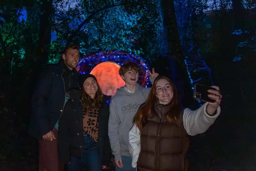 Queenstown: Whimsical Sensory Night Walk at LUMA Enchanted - A practical plan for the evening