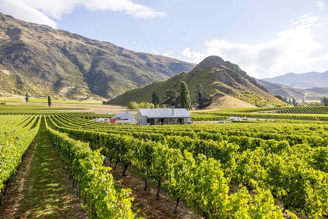 Queenstown Wine & Food Tour: Scenery, Tastings & Delicious Lunch! - Kinross combines tasting, lunch, and a longer pause