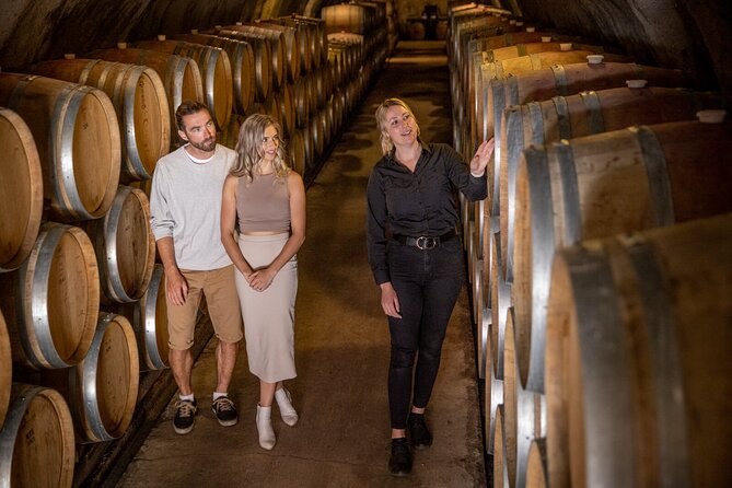Queenstown Wine & Food Tour: Scenery, Tastings & Delicious Lunch! - Timing, pickup, and practical details