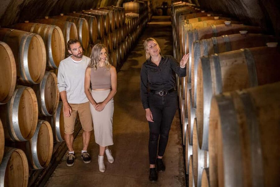 Queenstown: Wine & Food Tour, Scenic Tastings & Paired Lunch - Who should book this tour?