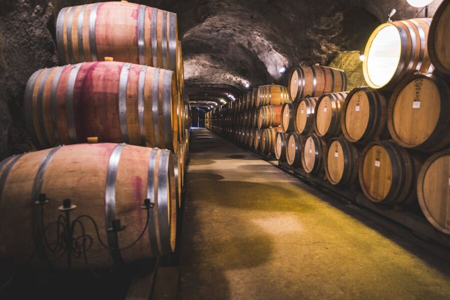 Queenstown: Wine Tasting Tour - Gibbston Valley and the underground wine cave