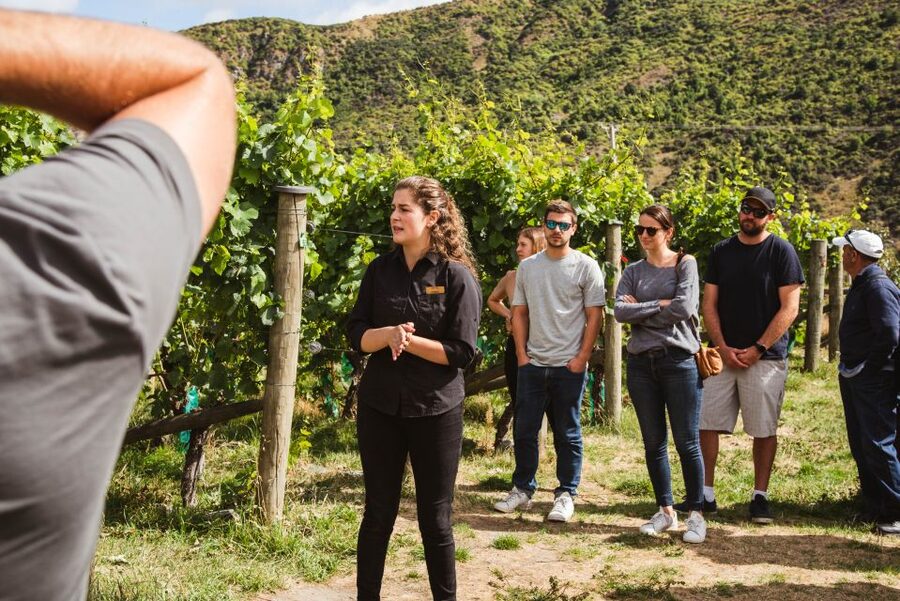Queenstown: Wine Tasting Tour - Kinross: five winemakers and the lunch stop
