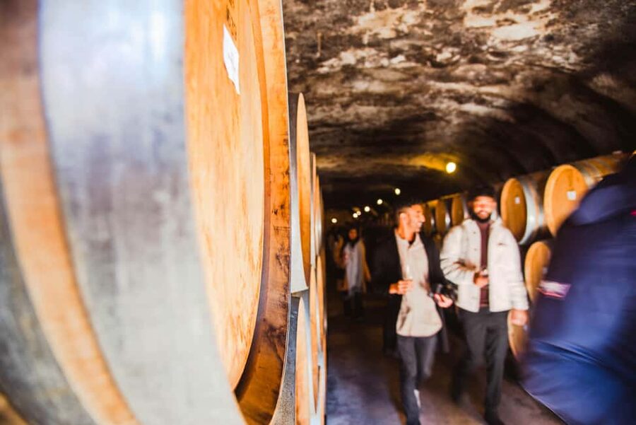 Queenstown: Wine Tasting Tour - Group size, timing, and the role of the guide