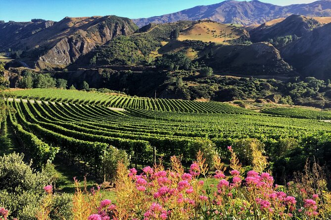 Queenstown Wine Tour - Why the small group matters