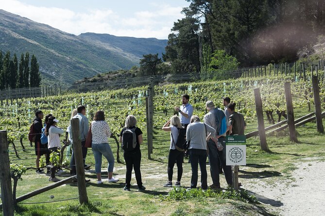 Queenstown Wine Tour - Gibbston Valley Cave | Kinross | Amisfield - Key points to know before booking