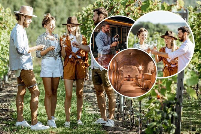 Queenstown Wine Tour - Gibbston Valley Cave | Kinross | Amisfield - From Queenstown to the Gibbston Valley vineyards