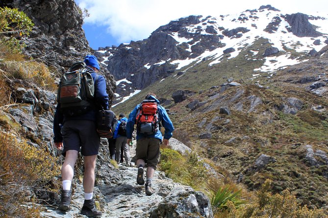Routeburn Track Guided Hike (Full Day) - Key points to know before booking