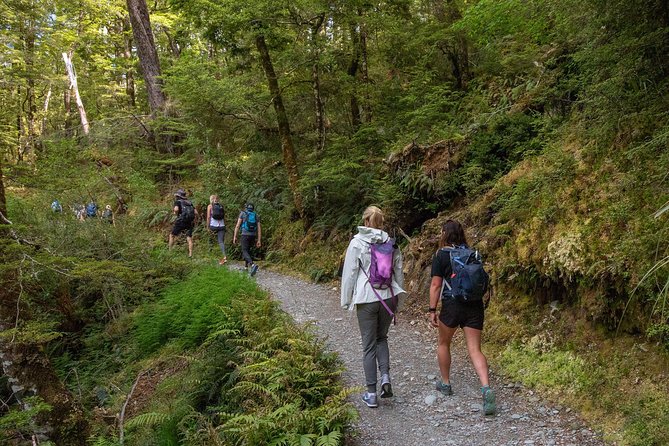 Routeburn Track Guided Walk (Half-Day) - From Lake Wakatipu toward the mountains