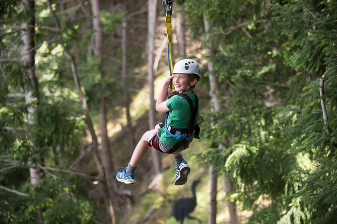 Small-Group Zipline Adventure in Queenstown - Starting high above Queenstown