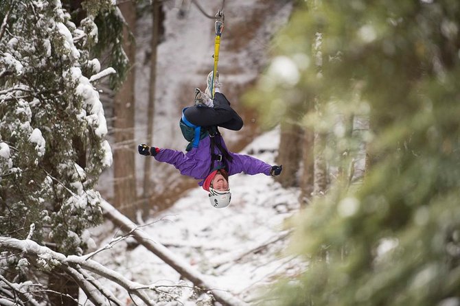 Small-Group Zipline Adventure in Queenstown - Views, speed, and the right level of thrill