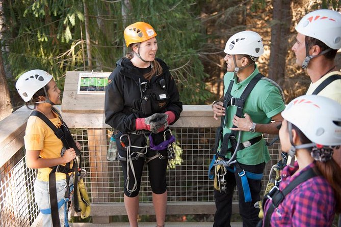 Small-Group Zipline Adventure in Queenstown - Three courses for three kinds of courage