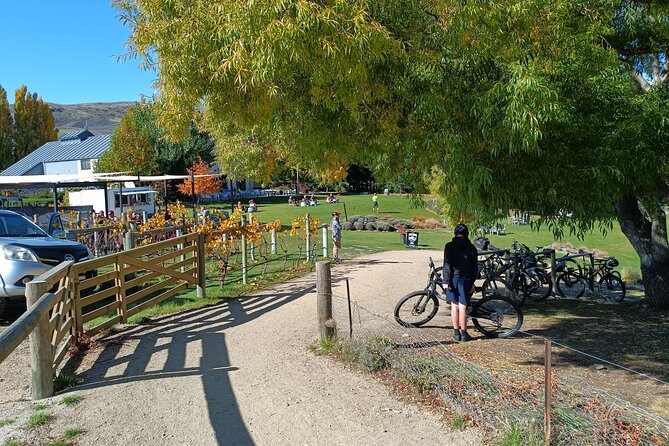 The Ultimate Lake Dunstan Bike Hire And Boat Experience - Riding Lake Dunstan from Cromwell to Clyde