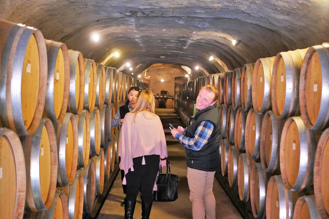 The Wine Trail Tour - Gibbston and the Central Otago wine trail