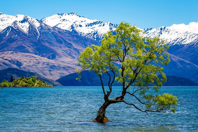 Wanaka Private Day Trip from Queenstown: TravelnGo - Why a private Queenstown to Wanaka trip works well